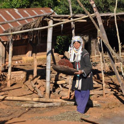 Circuit en Birmanie : Trekking au Triangle d’or et ses Multiples Ethnies