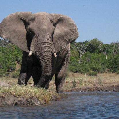Voyage en Namibie : Caprivi, Du Kalahari aux Chutes Victoria