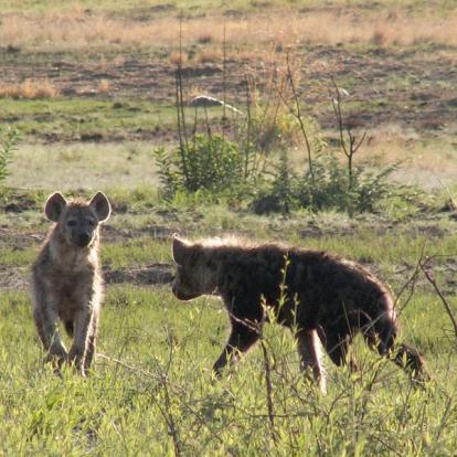 Voyage en Namibie : Caprivi, Du Kalahari aux Chutes Victoria