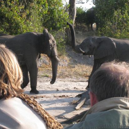 Voyage en Namibie : Caprivi, Du Kalahari aux Chutes Victoria