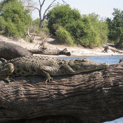 Circuit en Namibie : Caprivi, Du Kalahari aux Chutes Victoria