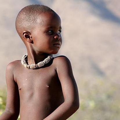 Safari en Namibie : Les Rivières Ephémères