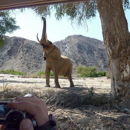 Safari en Namibie : Les Rivières Ephémères