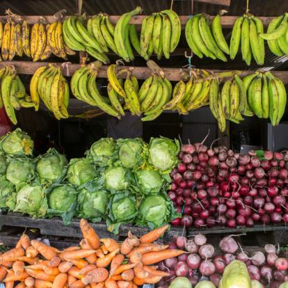 Circuit au Nicaragua : Découverte Active