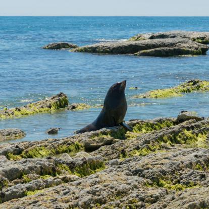 Circuit en Nouvelle-Zélande : Autotour 12 Jours Iles du Sud