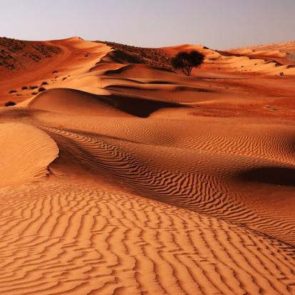 Wahiba desert Voyage à Oman : Incursion Bédouine