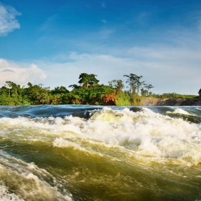 Circuit en Ouganda : La Perle de l'Afrique