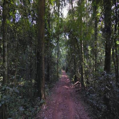 Voyage en Ouganda : La Perle de l'Afrique