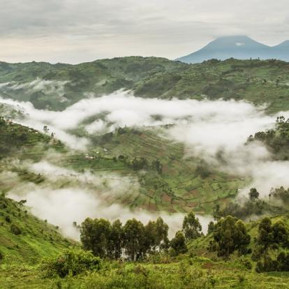Circuit en Ouganda : La Perle de l'Afrique