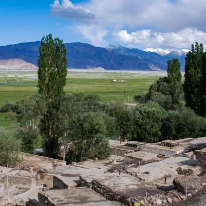 Circuit en Ouzbékistan : Aux Confins de l'Asie Centrale
