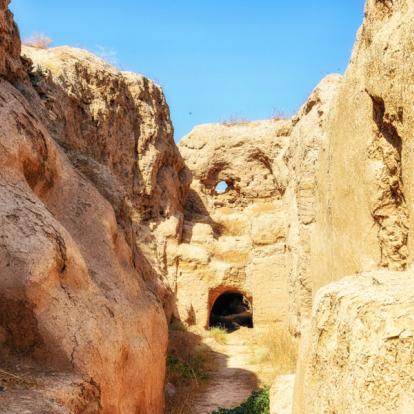 Voyage en Ouzbékistan : Marguiane, Chorasmie et Transoxiame