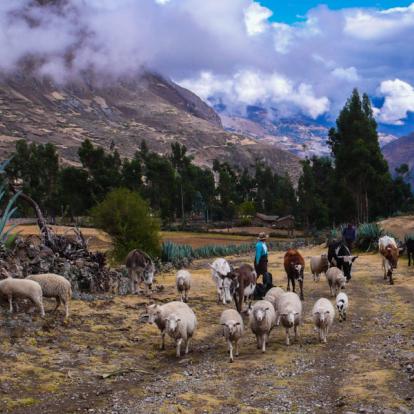 Trek au Pérou : Inka Naani, la Route Inca du Nord