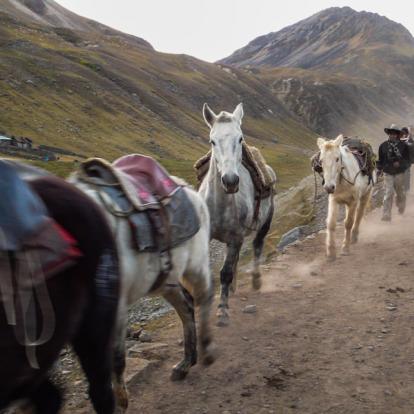 Trek au Pérou : Inka Naani, la Route Inca du Nord