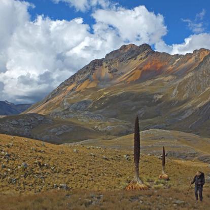 Voyage au Pérou : La Traversée de Vilcabamba