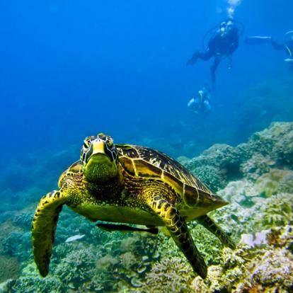 Voyage aux Philippines - Autour de la Mer dans les Visayas