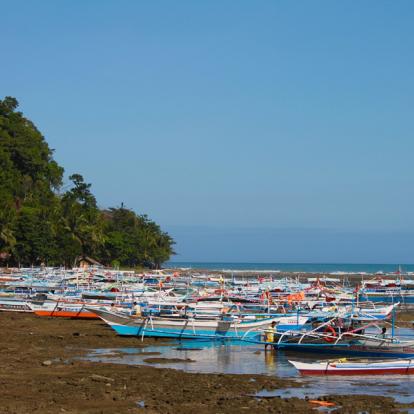 Circuit aux Philippines - Combiné Palawan et Bohol