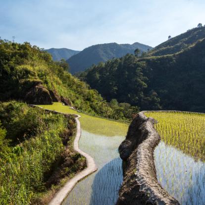 Circuit aux Philippines - Trekking au Pays Kalinga