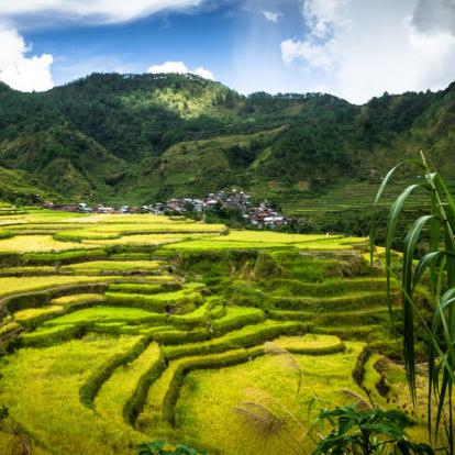 Circuit aux Philippines - Trekking au Pays Kalinga