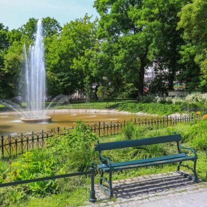 Sjour en Pologne : Cracovie et ses environs