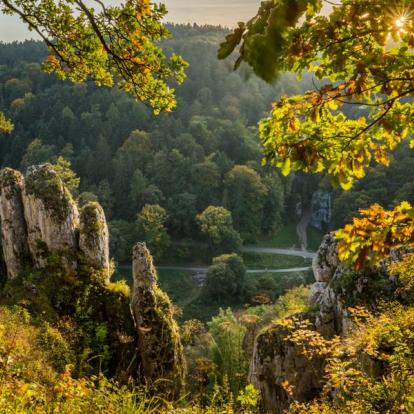 Voyage en Pologne : Cracovie et ses environs