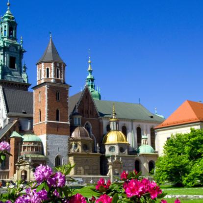 Circuit en Pologne : Les Merveilles de la Pologne