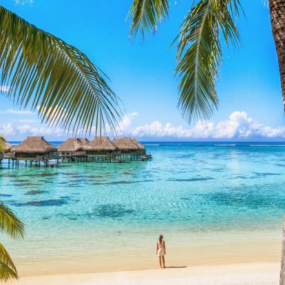 Voyage en Polynésie: La Polynésie en Pensions de Famille