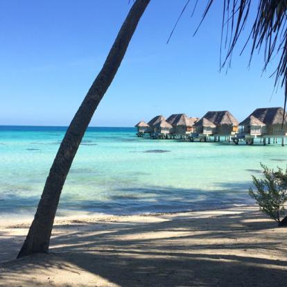 Voyage de Noces en Polynésie: Combiné Archipel de la Société et Tuamotus