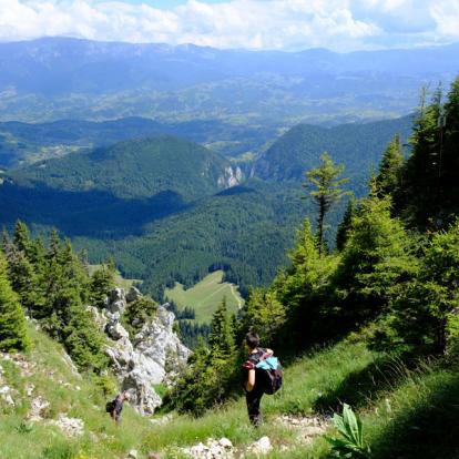 Circuit en Roumanie : Montagnes et Châteaux