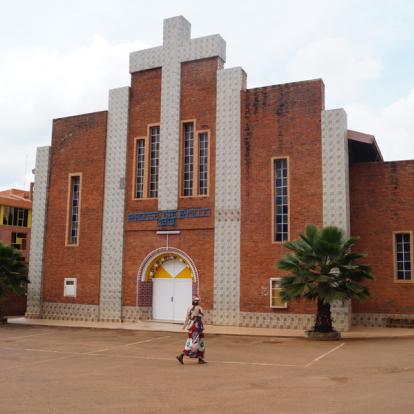 Kigali Voyage au Rwanda : Gorilles, Primate et Lacs