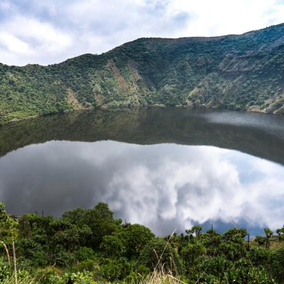 Voyage au Rwanda : Gorilles, Primate et Lacs