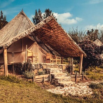 Voyage au Rwanda : Gorilles, Primate et Lacs
