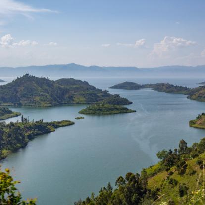 Circuit au Rwanda : Gorilles, Primate et Lacs