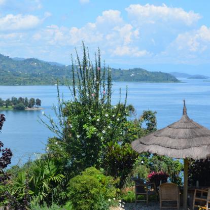 Voyage au Rwanda : Immersion au Pays du Gorille
