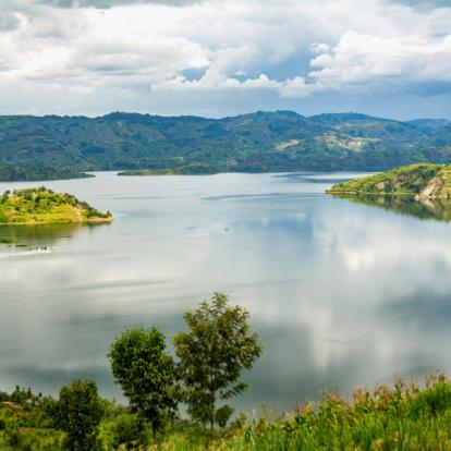 Circuit au Rwanda : Immersion au Pays du Gorille