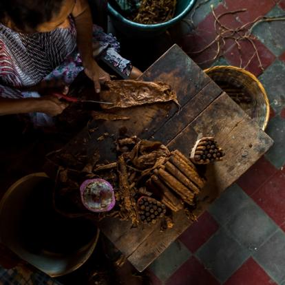 Voyage au Salvador : Splendeurs Salvadoriennes