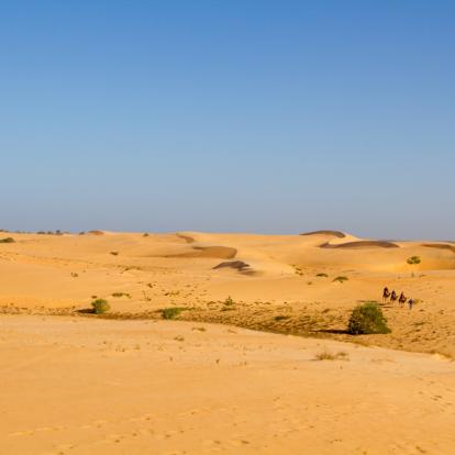 Voyage au Sénégal : Rencontre et Découverte
