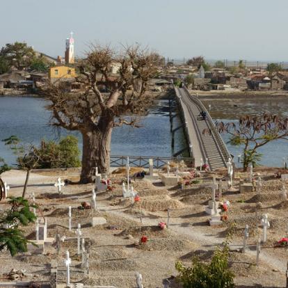 Circuit au Sénégal : Rencontre et Découverte