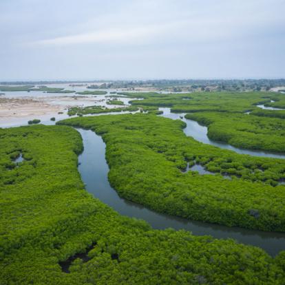 Voyage au Sénégal : Entre Le Sénégal & La Gambie