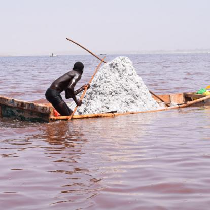 Circuit au Sénégal : Entre Le Sénégal & La Gambie