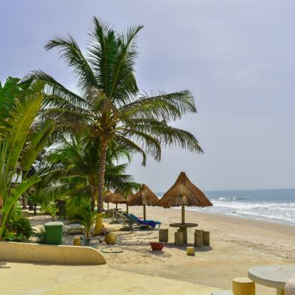 Voyage au Sénégal : Mystérieuse Casamance