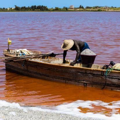 Voyage au Sénégal : Panorama du Sénégal