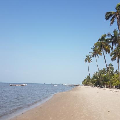 Voyage au Sénégal : Panorama du Sénégal