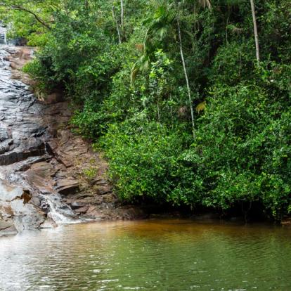 Voyage aux Seychelles : Séjour Badamier aux Seychelles