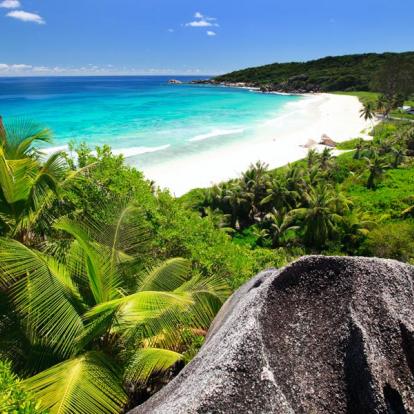 Voyage aux Seychelles : Séjour Cocos de Mer aux Seychelles