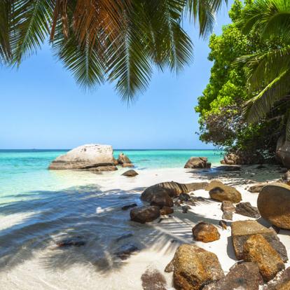 Voyage aux Seychelles : Séjour Cocos de Mer aux Seychelles