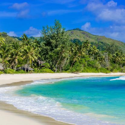 Voyage aux Seychelles : Séjour Cocos de Mer aux Seychelles