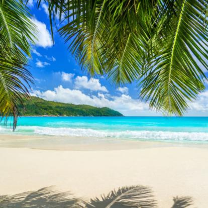 Voyage aux Seychelles : Séjour Cocos de Mer aux Seychelles