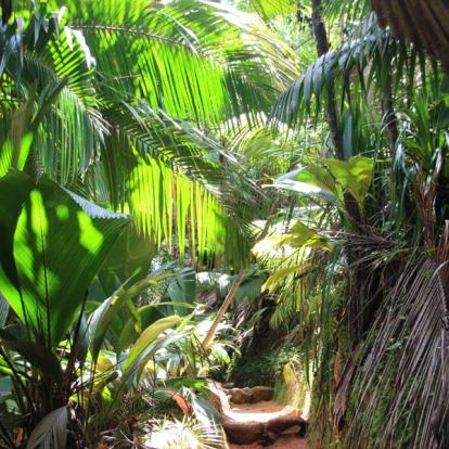 Voyage aux Seychelles : Séjour Frangipanier aux Seychelles