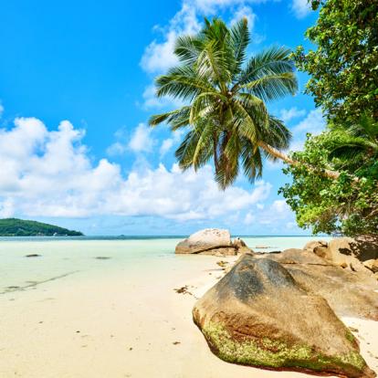 Voyage aux Seychelles : Séjour Robinson aux Seychelles