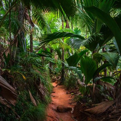 Voyage aux Seychelles : Séjour Robinson aux Seychelles